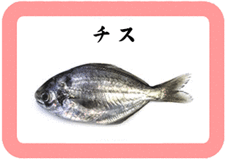 イボダイ科の画像