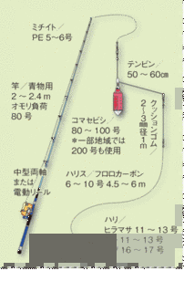 クロメダイ属の画像