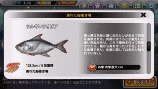 ツルギエチオピアの画像