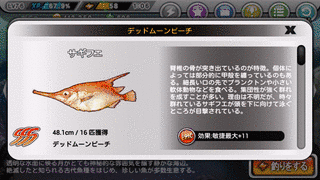 サギフエの画像