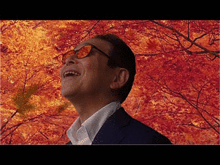 ティルキー・ジョーンズの画像