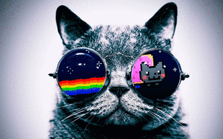 COOL!の画像