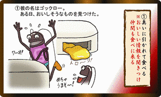 ゴキちゃんの画像