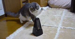 子ねこちゃんメトロノームの画像