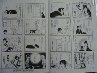 今月のわんこ生活の画像