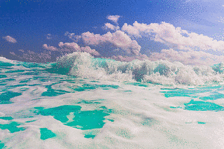 SUMMER BLUEの画像