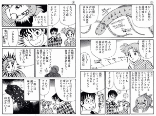 シーラカンスの画像