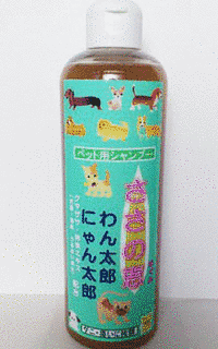 笹野恵の画像