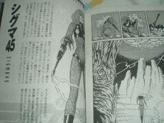 シグマ45の画像