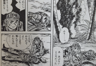 紫電の画像
