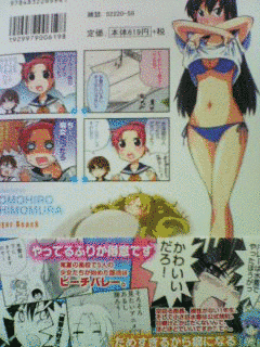 シュガービーチの画像