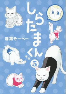 しらたまくんの画像