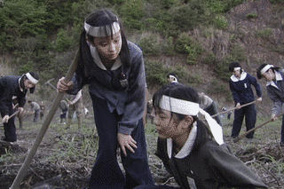 少女たちの日記帳 ヒロシマ 昭和20年4月6日〜8月6日の画像