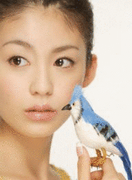 YUMING FILMS PROJECTの画像
