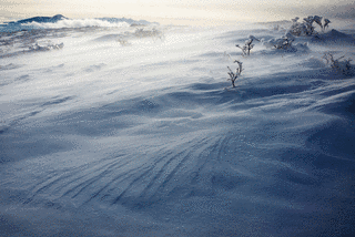 風雪の画像