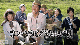 さとうきび畑の唄の画像