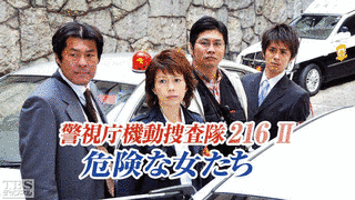 警視庁機動捜査隊216の画像