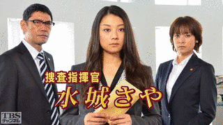 捜査指揮官 水城さやの画像