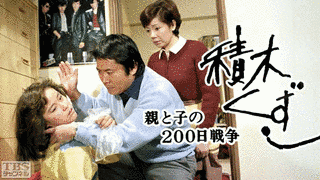 積木くずしの画像