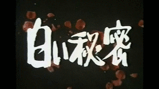 白い秘密の画像