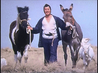 破れ新九郎の画像