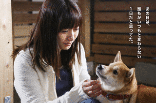 フラガールと犬のチョコの画像