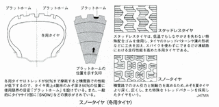 スノードロップの画像
