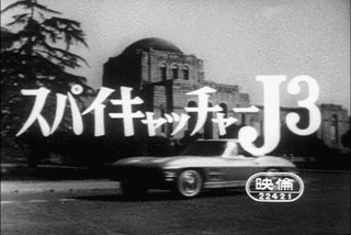 スパイキャッチャーJ3の画像