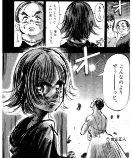 昴の画像