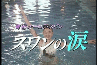 青春オーロラ・スピン スワンの涙の画像