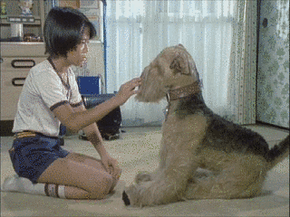 ふしぎ犬トントンの画像