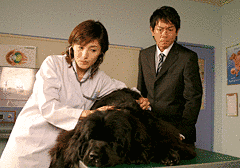 獣医・いかり七緒の殺人診断の画像
