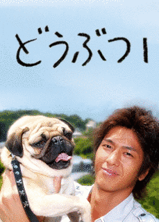 どうぶつ119の画像