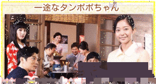 たんぽぽの画像