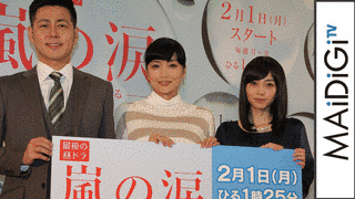 嵐の涙〜私たちに明日はある〜の画像