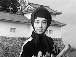 琴姫七変化の画像