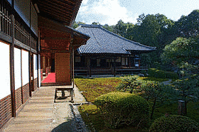 小野心の画像