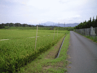 竹内佑典の画像