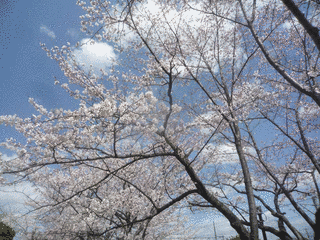 名取芳夫の画像