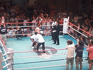 三垣龍次の画像