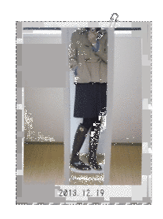 ダフナ・パークの画像