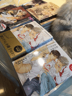やまねあやのの画像