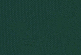 ダークグリーンの画像