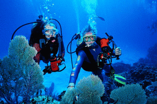 DIVE!!の画像