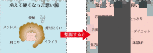 かわくぼ香織の画像