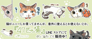 山野りんりんの画像
