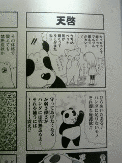 竹田エリの画像