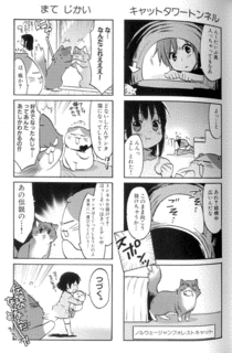 タマさんの画像