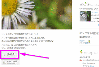 もりやねこの画像