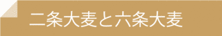 六条麦の画像